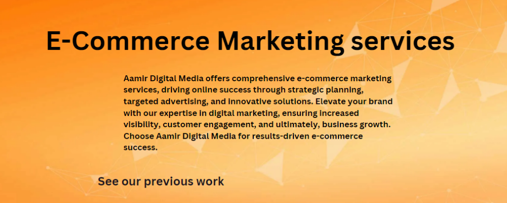 E- Commerce Marketing Services, aamir digital media
